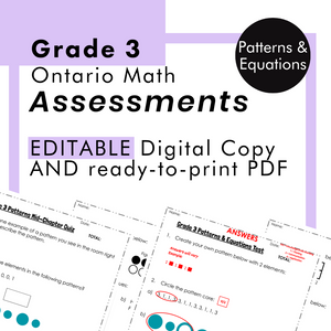 
            
                Load image into Gallery viewer, Grade 3 Ontario Math - Patterns &amp;amp; Equations Assessments - PDF + Google Slides
            
        