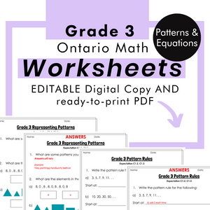 
            
                Load image into Gallery viewer, Grade 3 Ontario Math - Patterns &amp;amp; Equations Worksheets PDF+Editable Google Slides
            
        