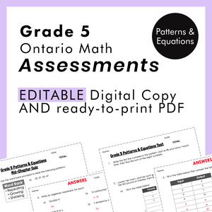 
            
                Load image into Gallery viewer, Grade 5 Ontario Math Patterns &amp;amp; Equations Assessments
            
        
